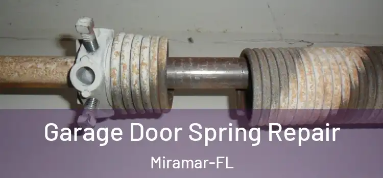 Garage Door Spring Repair Miramar-FL